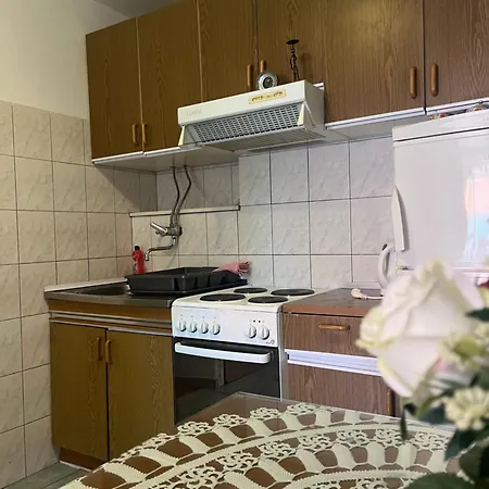 Apartment Bicanic *