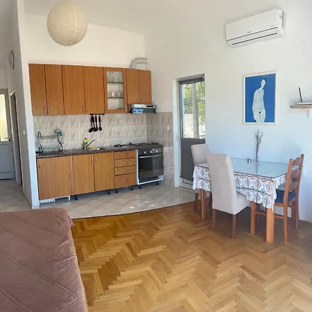 Apartment Bicanic *